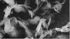 1731561811357249.png 014d087d77b5aa33bbbf9ea6e3d85a3c.png